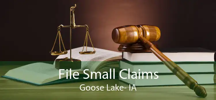 File Small Claims Goose Lake- IA