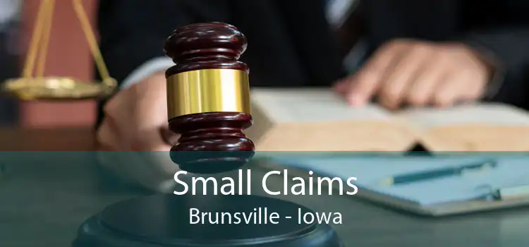 Small Claims Brunsville - Iowa