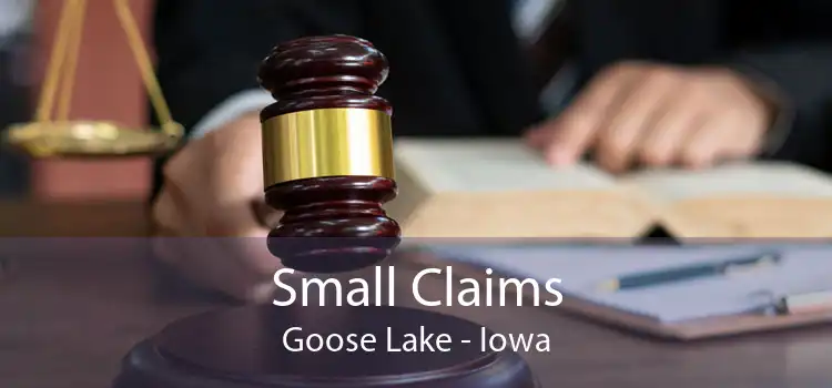 Small Claims Goose Lake - Iowa
