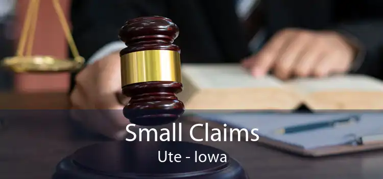 Small Claims Ute - Iowa
